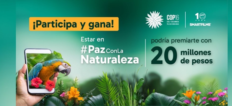 Embajada de Colombia en Japón invita a participar con su video en la COP16 a realizarse en Cali 